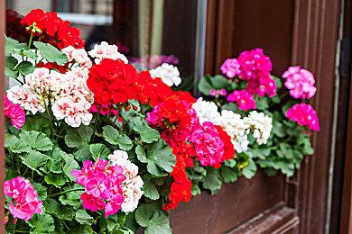 世嘉多款大作销量泄露 《全面战争：三国》321万套